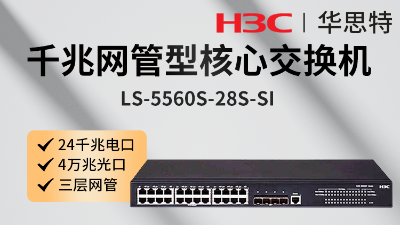 H3C交换机 LS-5560S-28S-SI